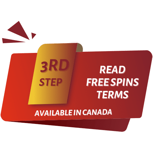 read free spins bonus terms